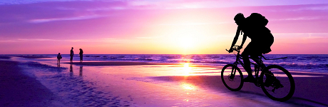 _msig_mainimage.jpg