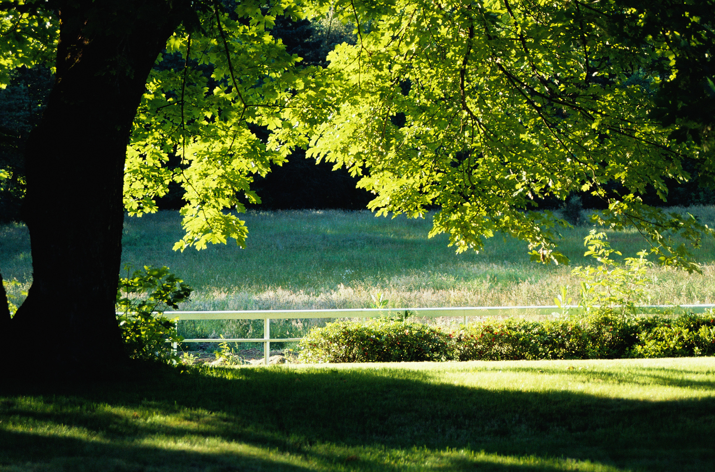 _msig_mainimage.jpg